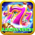 aaron finch Pro Edition v2.2.6