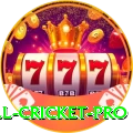 all cricket Slots Royal v1.1.0