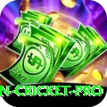 australian cricket - Champion v5.3.6