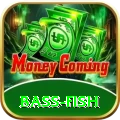 bass fish Pro Edition v4.2.4