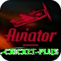 bbl cricket Gaming Pro v3.6.3