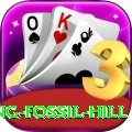 chhusang fossil hill Apps (Tools & Injectors) Premium v1.5.9