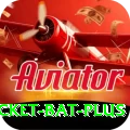 cricket bat Live Master v5.0.9