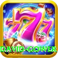 david gower Pro1 v1.9.6