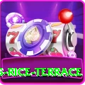 dhampus rice terrace Pro v1.2.9