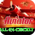 fastest ball in cricket Deluxe v5.8.1