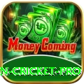 fastest ball in cricket Master v1.4.5