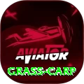 grass carp Max v3.1.0