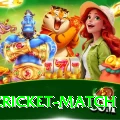 india cricket match Deluxe Pro v2.2.1