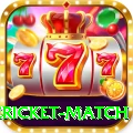 international cricket match Pro1 v2.5.3
