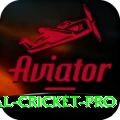 international cricket APK Plus v4.6.3
