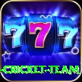 ireland cricket team Master v2.7.2