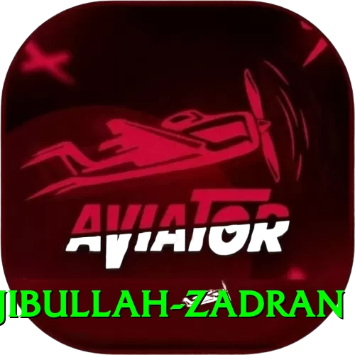 najibullah zadran Pro v4.3.0 - 2