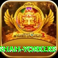 naseem shah yorkers Apps (Tools & Injectors) Premium v1.2.7