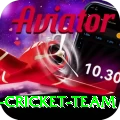 pakistan women cricket team VIP Edition v3.0.7