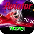 pkspin Max vv1.8.6
