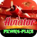 pkwin Max Pro vv4.9.8