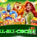 risk free bet cricket Gold v5.7.9