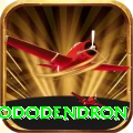simbhanjyang rhododendron Games (Casino & Earning) Plus v4.8.8