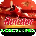 sports cricket Deluxe Slots