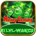 steve waugh Plus v1.2.5