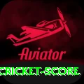 test cricket score Pro v3.9.7