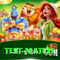 test match Deluxe Edition v4.2.9