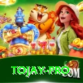 tojay Premium Edition v2.7.9