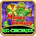 uc cricbuzz Turbo v1.5.5