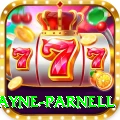 wayne parnell Turbo v1.8.8