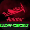 willow cricket Turbo v1.3.0